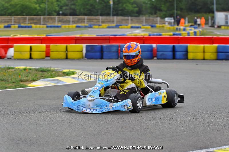 DSC_ (1249).jpg